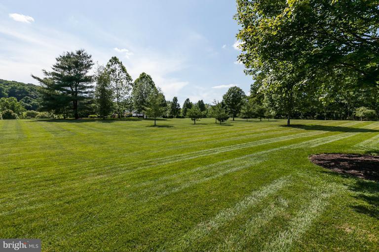13304 Beaver Dam Road Cockeysville, MD 21030 - Photo 20 of 24 Front Yard