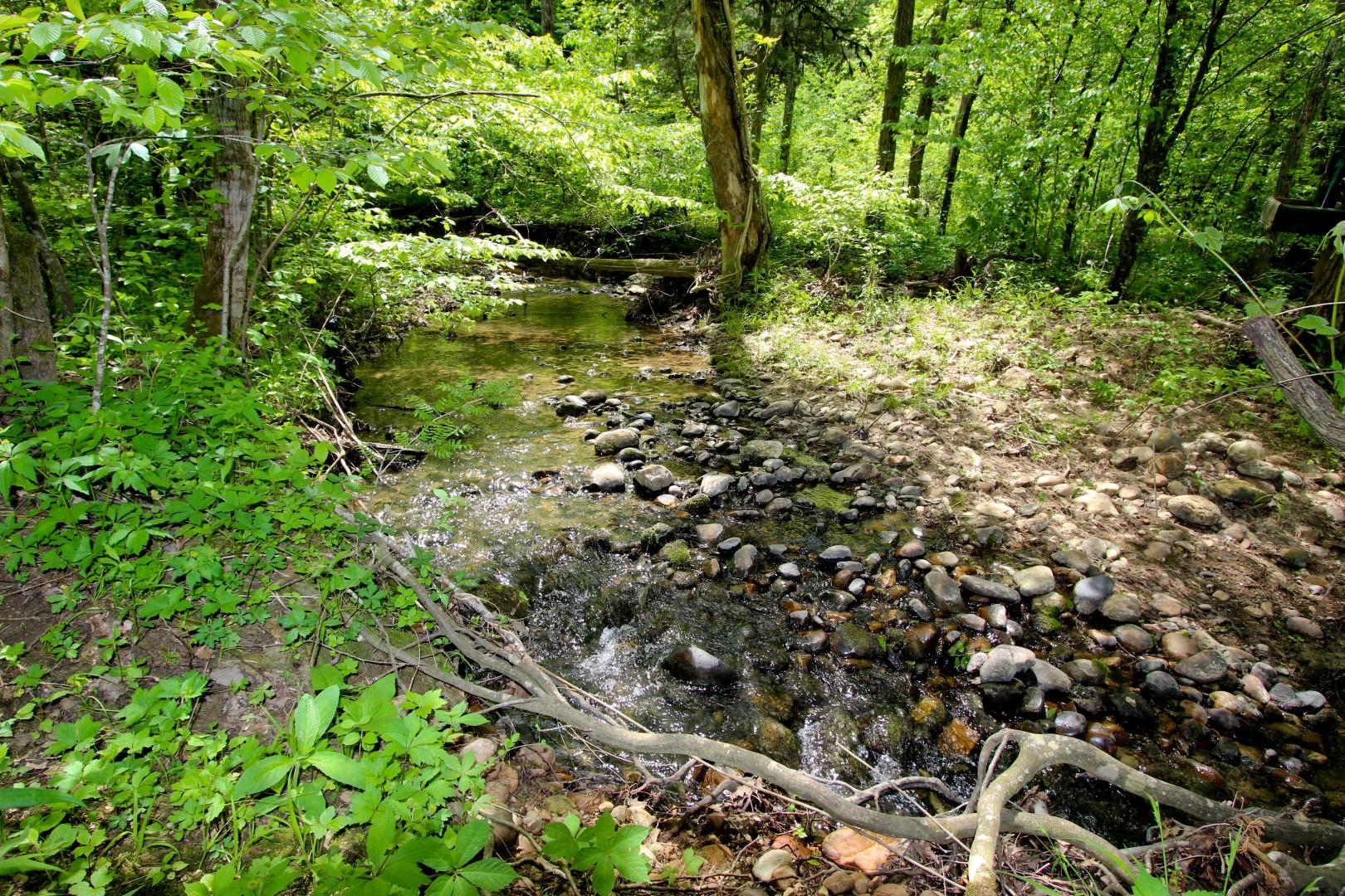 3.81-acres Lamplighter Road Newport, TN 37821 - Photo 14 of 20 IMG_2257