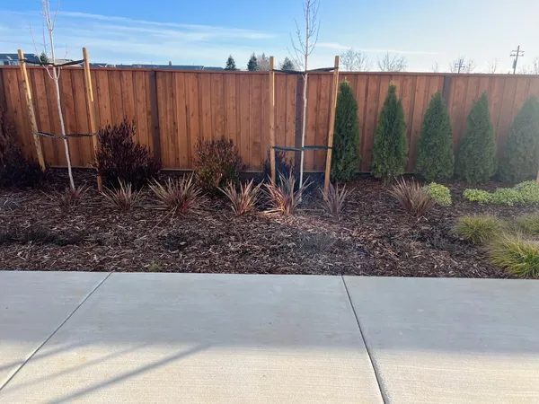 a view of a backyard
