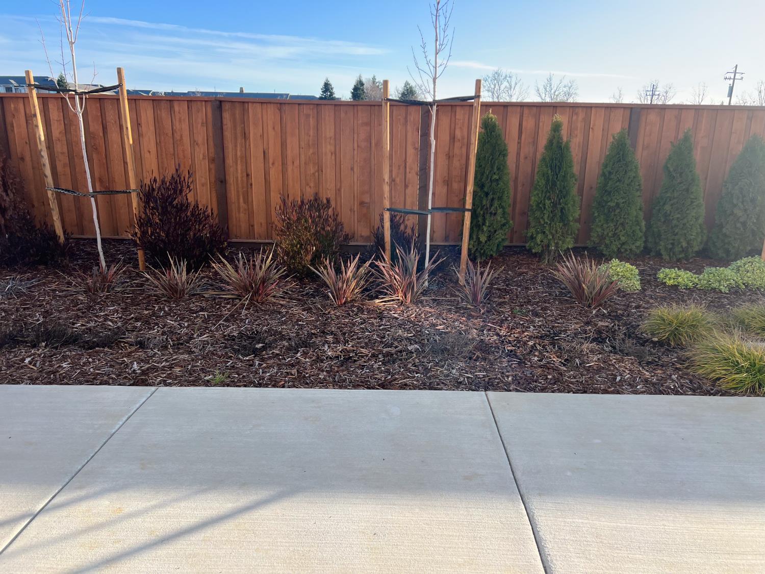 3368 Houser Court Davis, CA 95616 - Photo 19 of 19 a view of a backyard