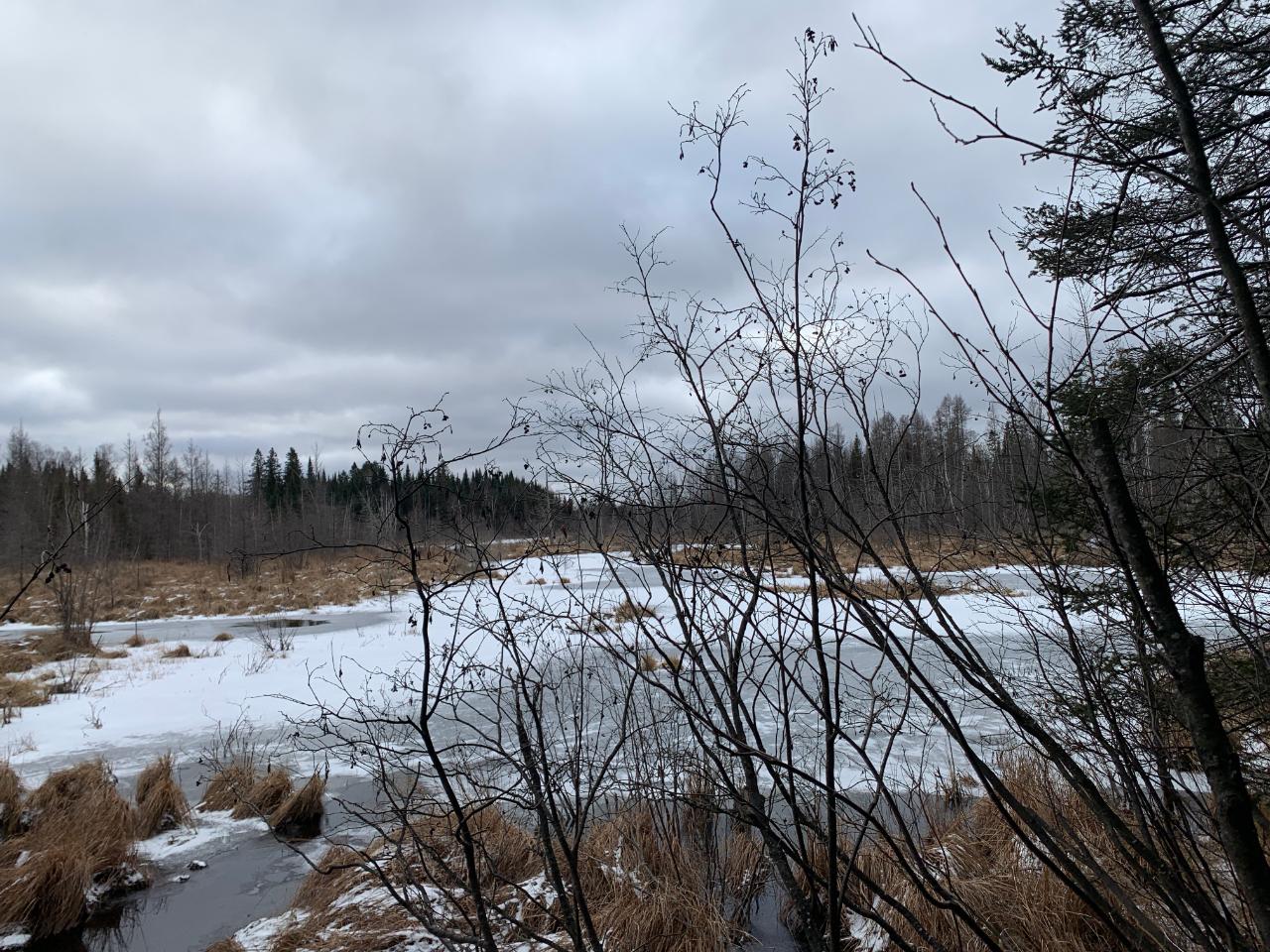 Off Sutton Road Minocqua, WI 54548 - Photo 13 of 19 Gallery Image 13