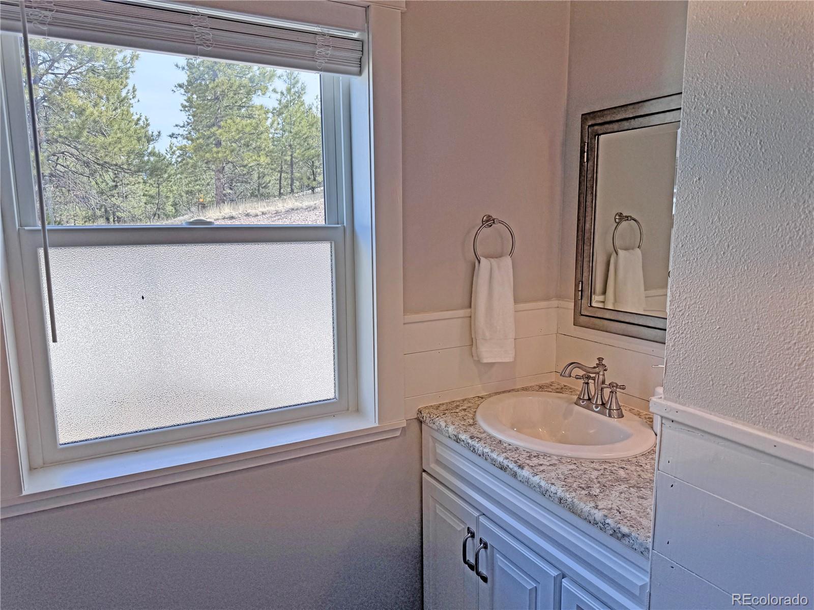 563 Kankakee Road Westcliffe, CO 81252 - Photo 18 of 46 a bathroom with a sink a mirror and a window