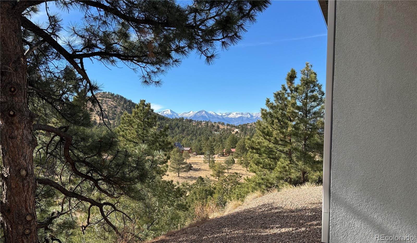 563 Kankakee Road Westcliffe, CO 81252 - Photo 41 of 46 a view of a forest of a house