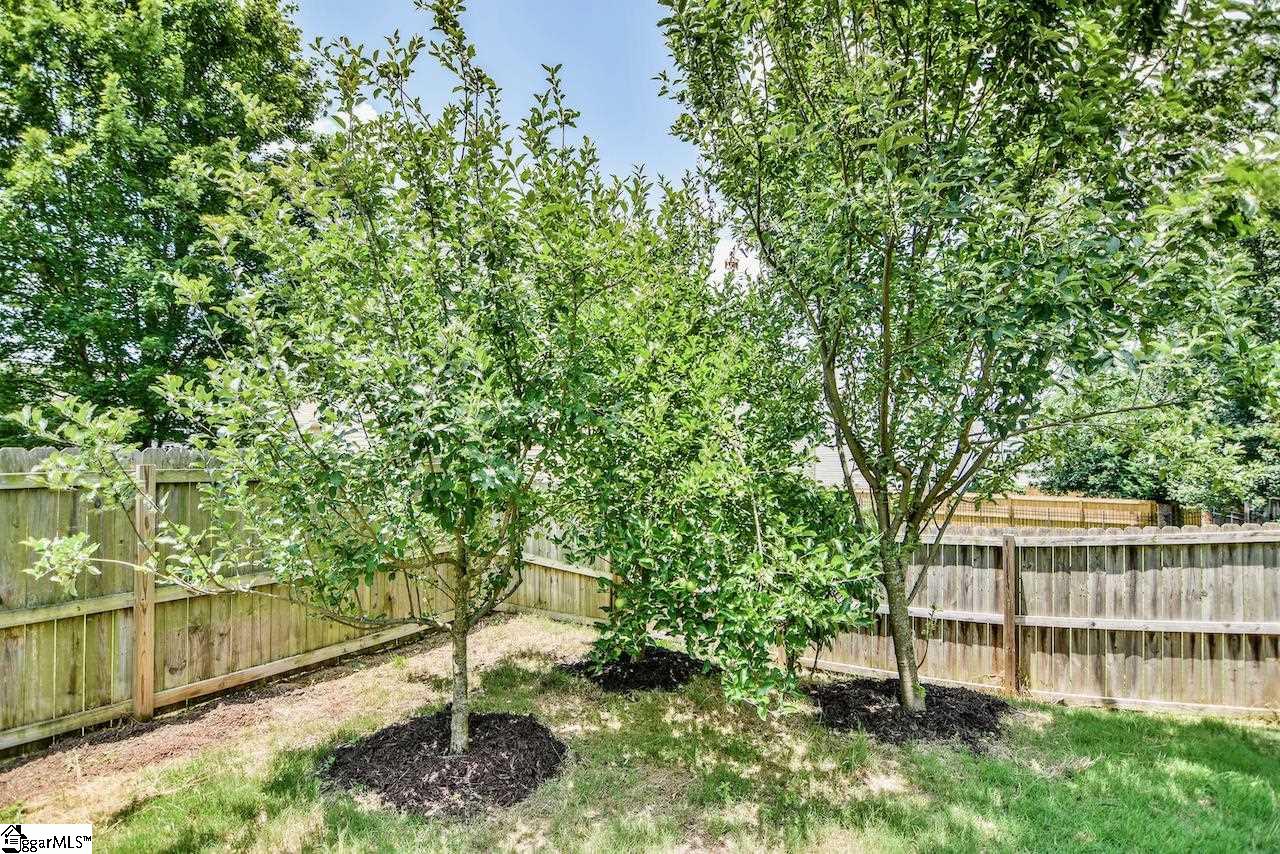 304 Rivanna Lane Greenville, SC 29607 - Photo 31 of 36 Gallery Image 31
