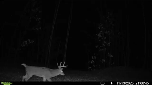 $1,065,870 | 3 Comet Road, Birchwood, WI 54817