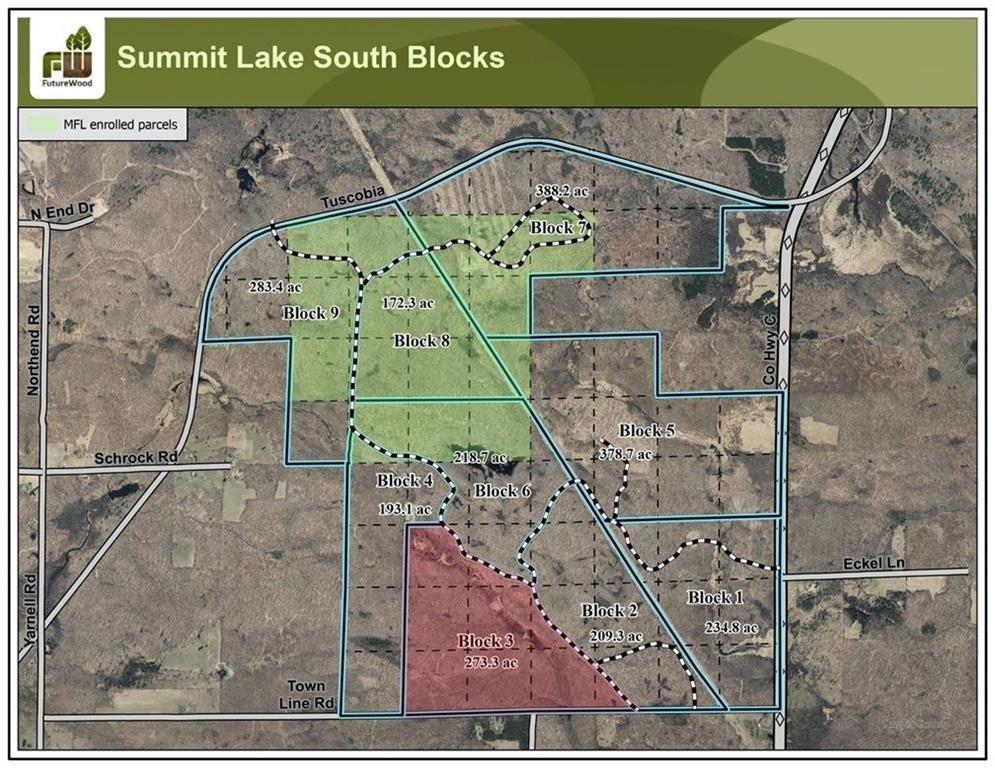 3 Comet Road Birchwood, WI 54817 - Photo 5 of 26