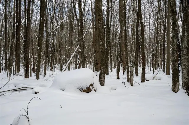 $1,065,870 | 3 Comet Road, Birchwood, WI 54817