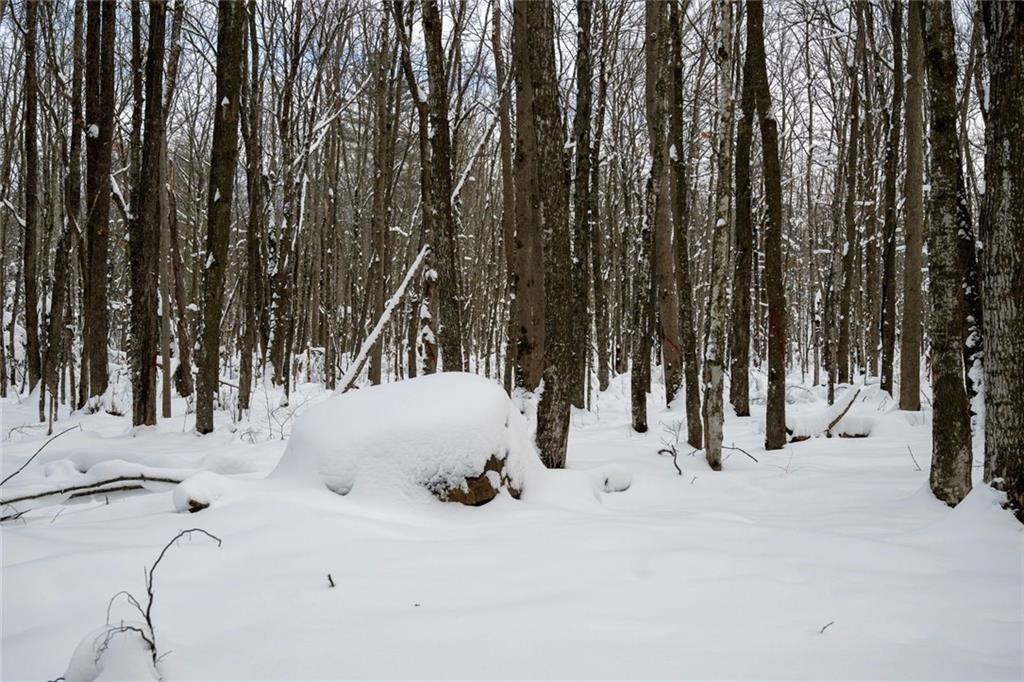 3 Comet Road Birchwood, WI 54817 - Photo 8 of 26