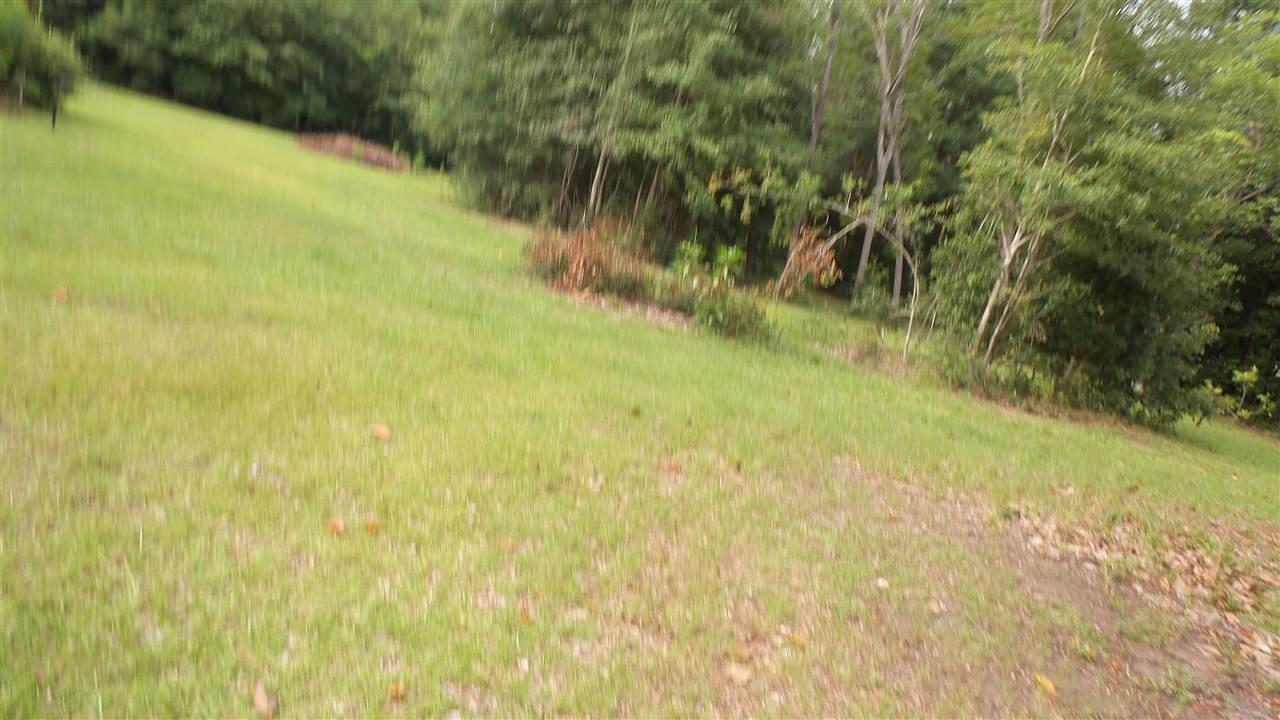 1071 Twin Bridges Road Flomaton, AL 36441 - Photo 6 of 32