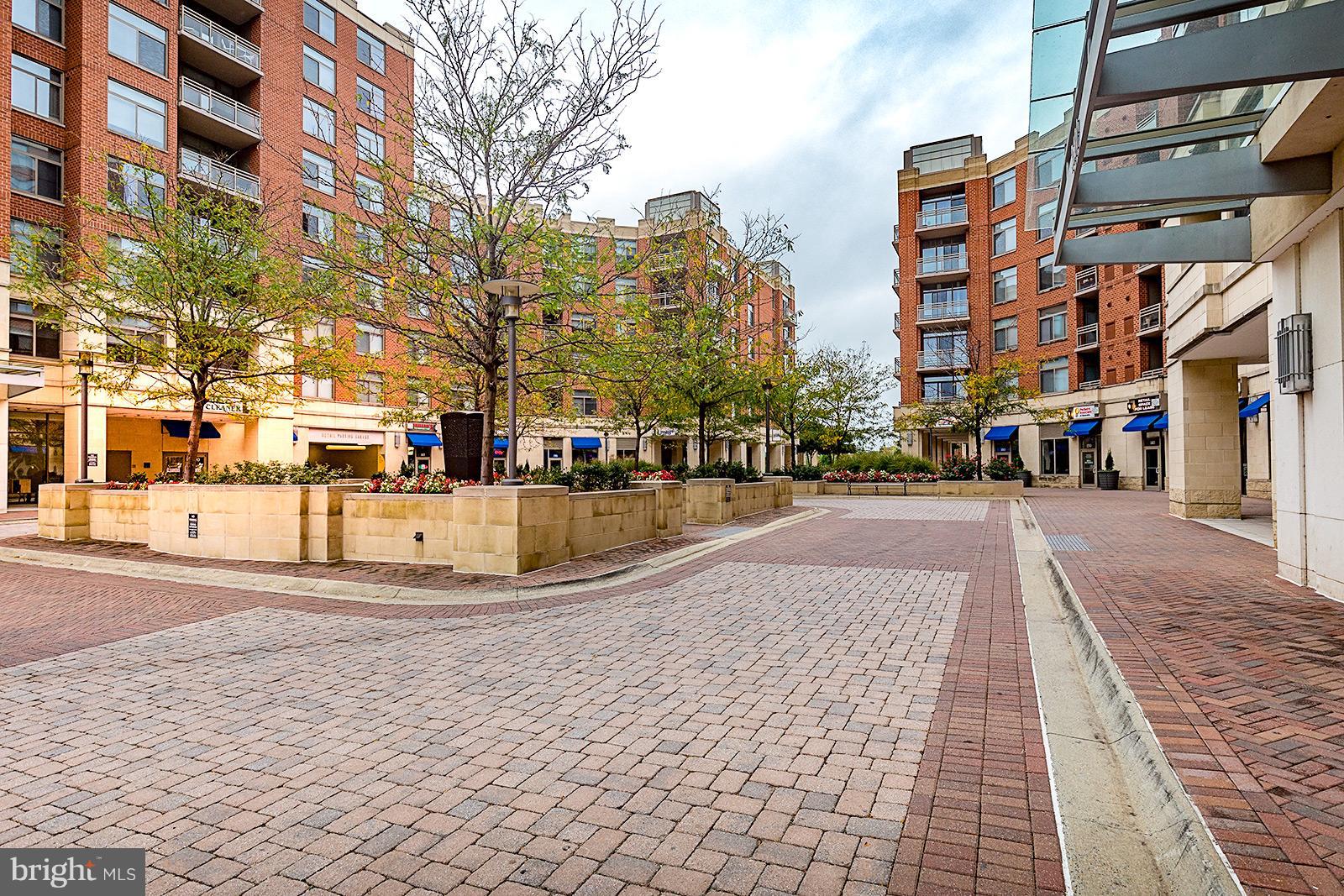 3650 South Glebe Road, Unit 666 Arlington, VA 22202 - Photo 18 of 21 Exterior (General)