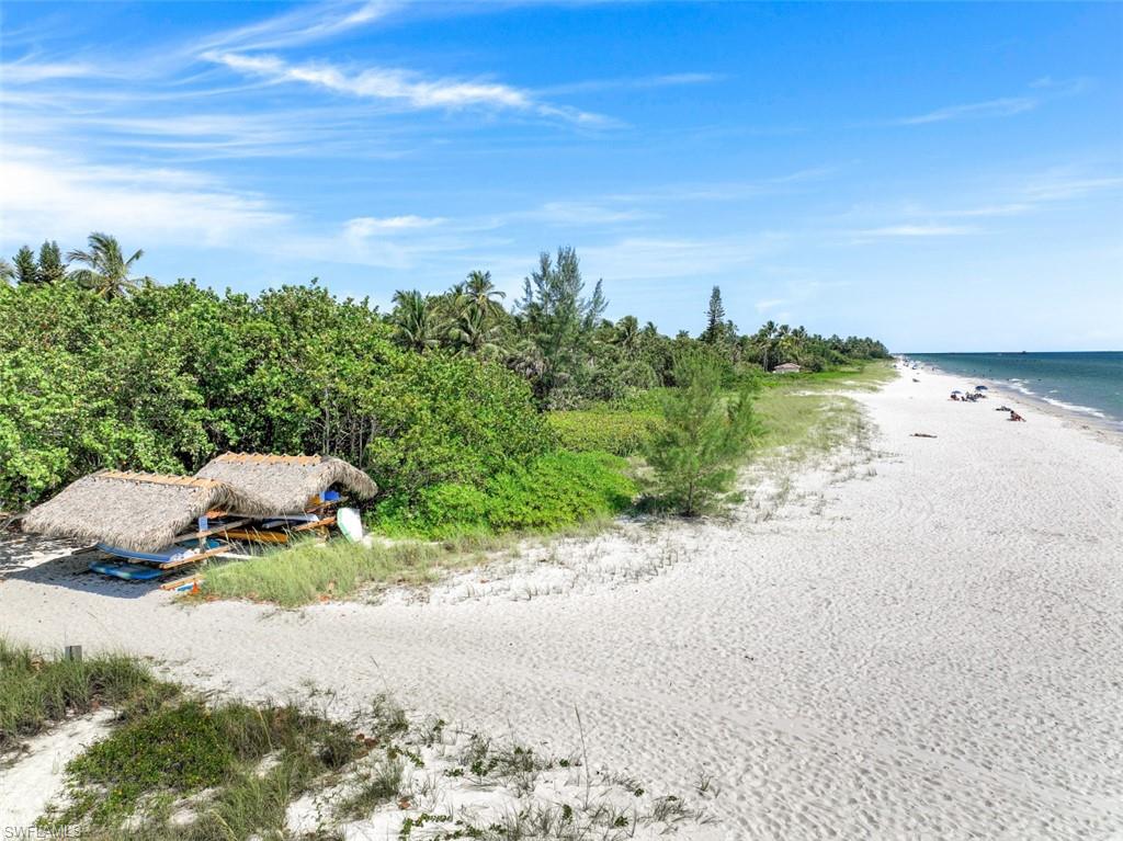 409 3rd Avenue North Naples, FL 34102 - Photo 39 of 41 a backyard of a house with lots of green space and trees