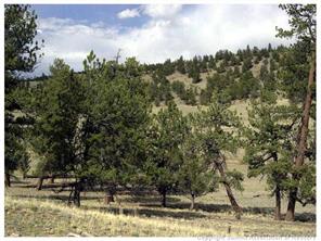 0 County Road Como, CO 80432 - Photo 14 of 25 a view of house with trees in the background