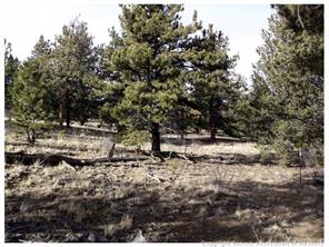 0 County Road Como, CO 80432 - Photo 23 of 25 a view of a forest with trees