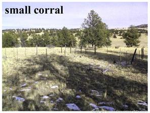 0 County Road Como, CO 80432 - Photo 10 of 25 a view of a forest from a yard
