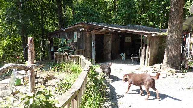 1100 Timber Ridge Road Charlotte, TN 37036 - Photo 18 of 19 The old barn/shed plus some of the friendly occupants.
