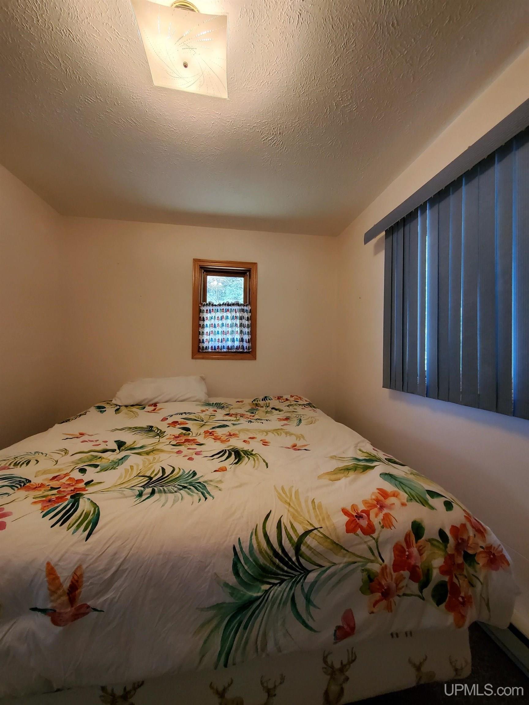 16874 East Pointe Road Wetmore, MI 49895 - Photo 19 of 24