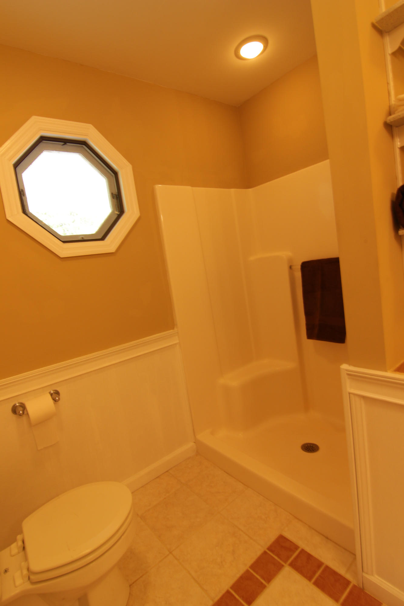 2513 Valley View Road Dandridge, TN 37725 - Photo 14 of 36 Master Shower