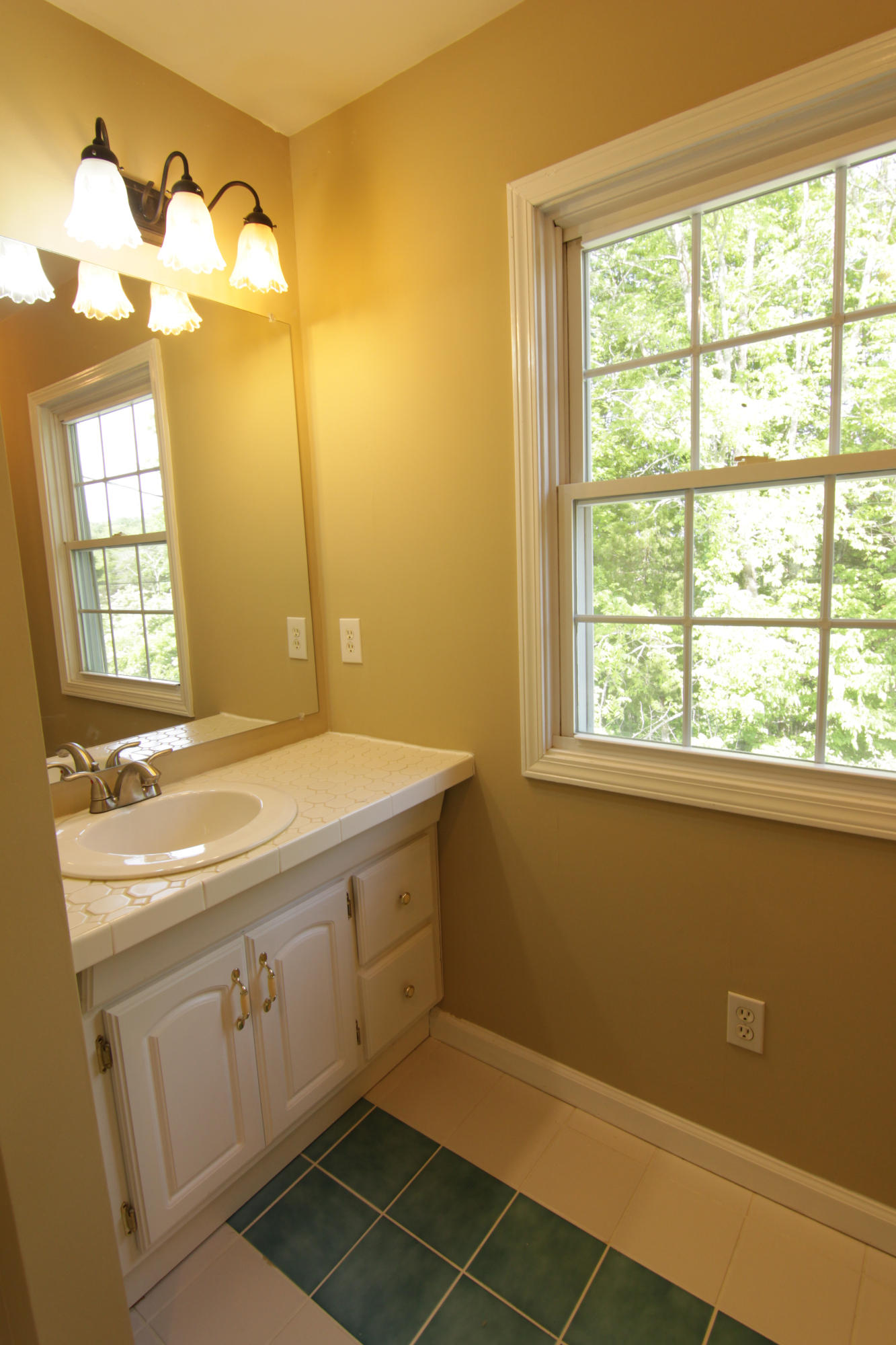 2513 Valley View Road Dandridge, TN 37725 - Photo 22 of 36 Upstairs Bath
