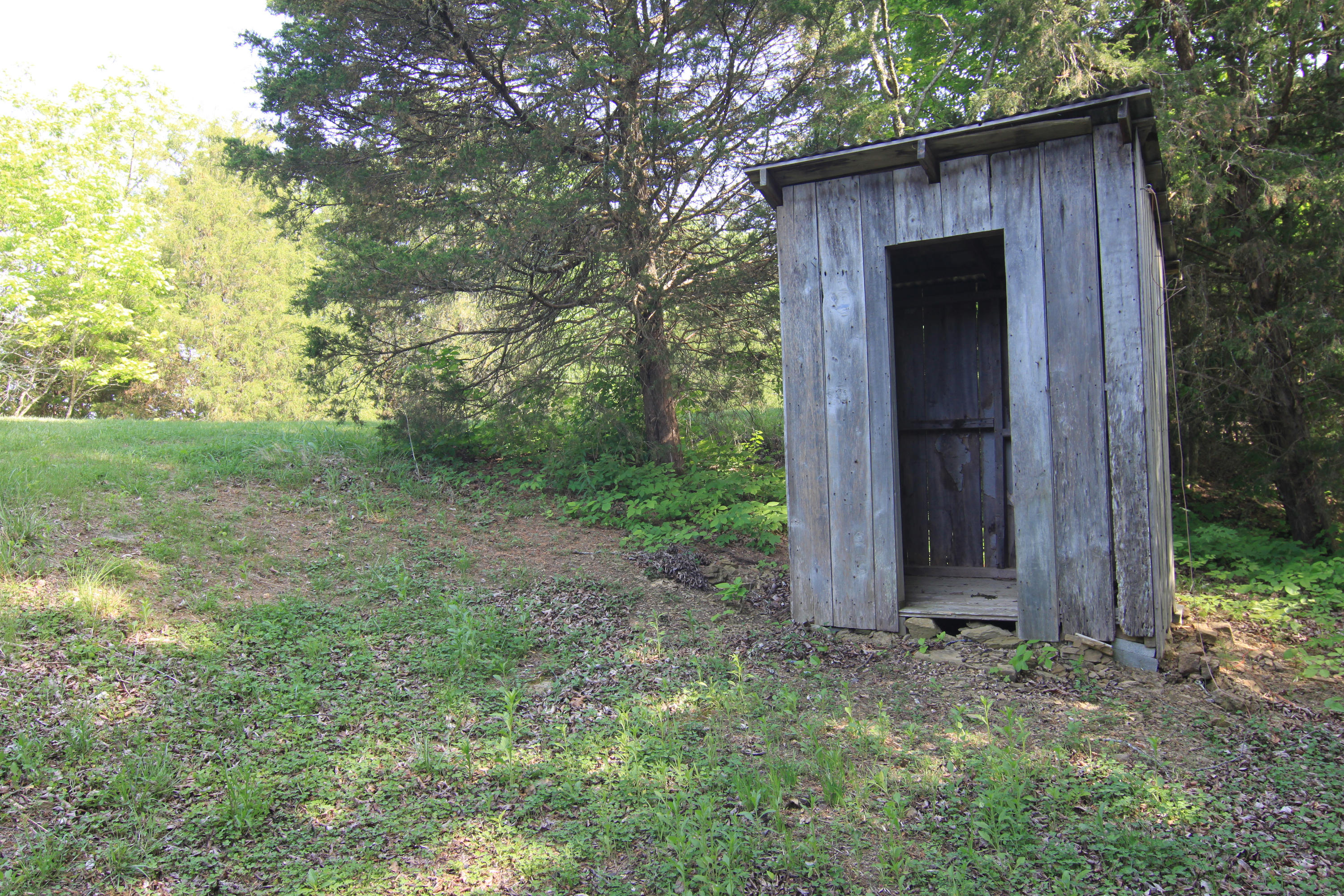 2513 Valley View Road Dandridge, TN 37725 - Photo 29 of 36 Gardening Shed