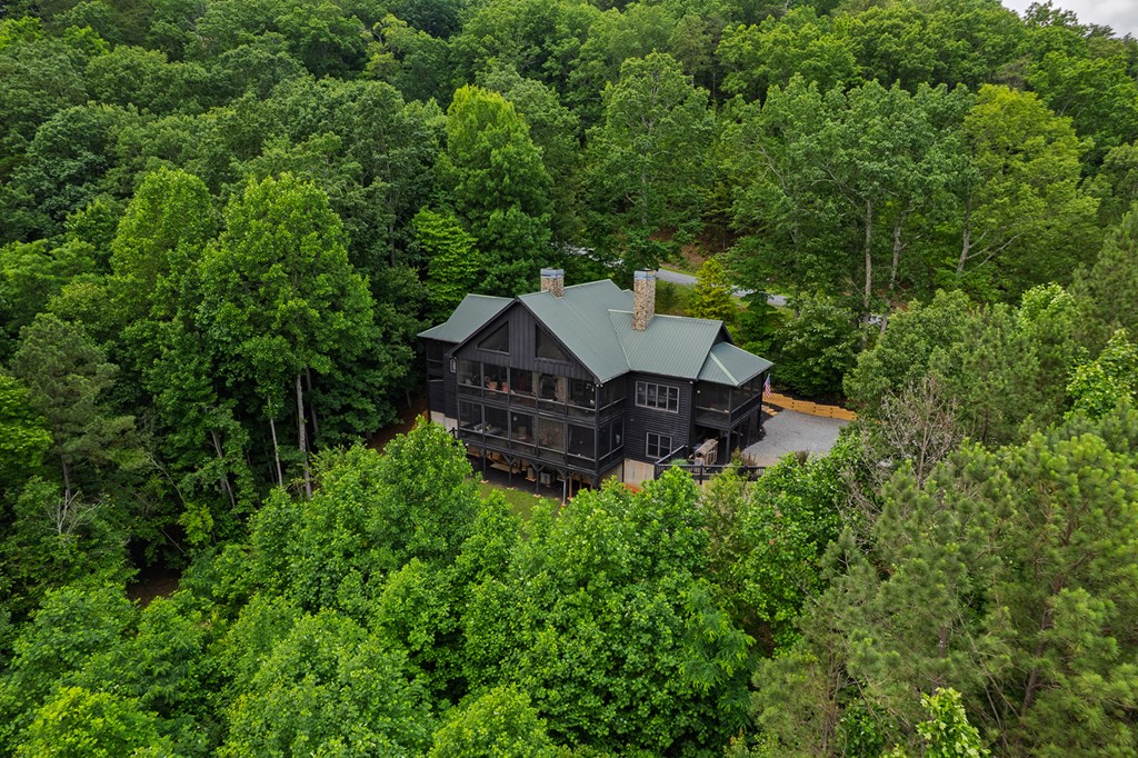 239 Ridge Top Drive Ellijay, GA 30536 - Photo 24 of 97