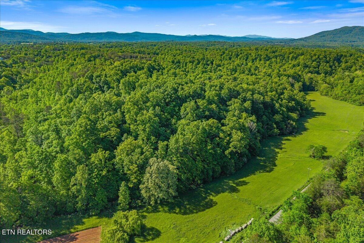 0 Shaddon Road Tellico Plains, TN 37385 - Photo 16 of 17 a view of a lush green hillside and houses