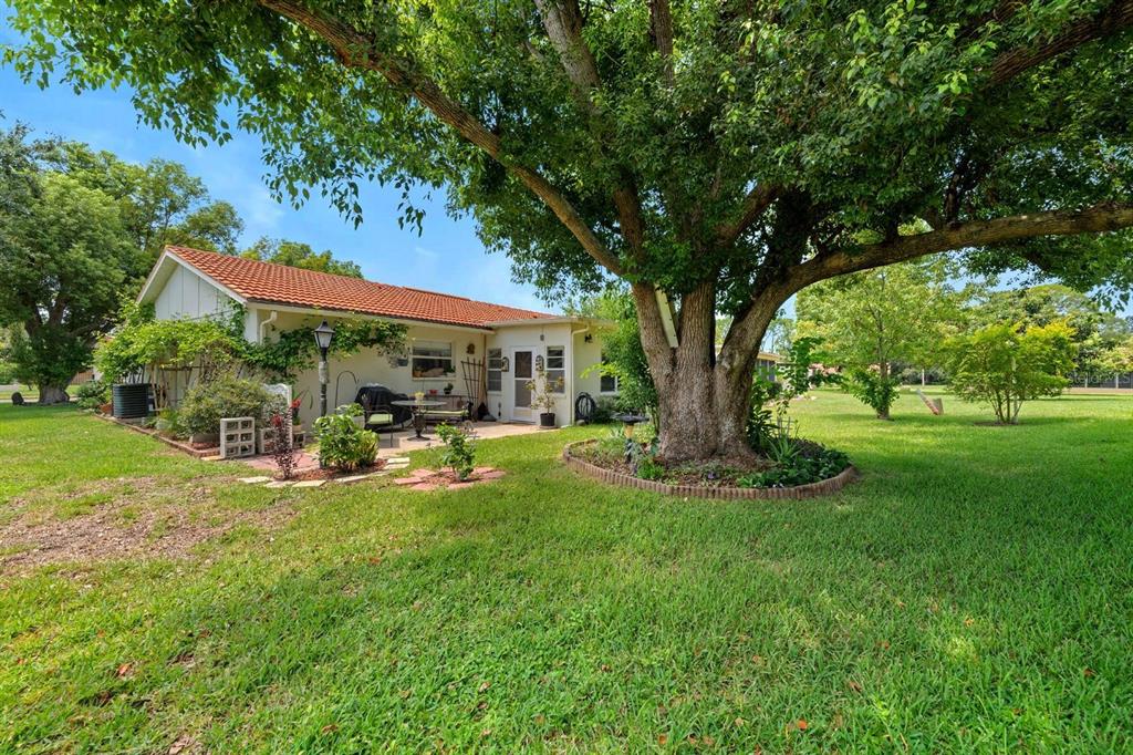 11404 Stansberry Drive Port Richey, FL 34668 - Photo 23 of 30 a view of a patio with table and chairs under an umbrella