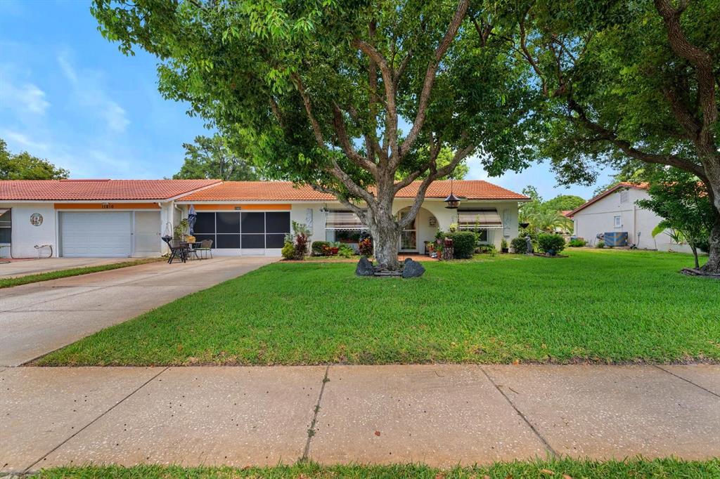 11404 Stansberry Drive Port Richey, FL 34668 - Photo 4 of 30 a front view of a house with a yard