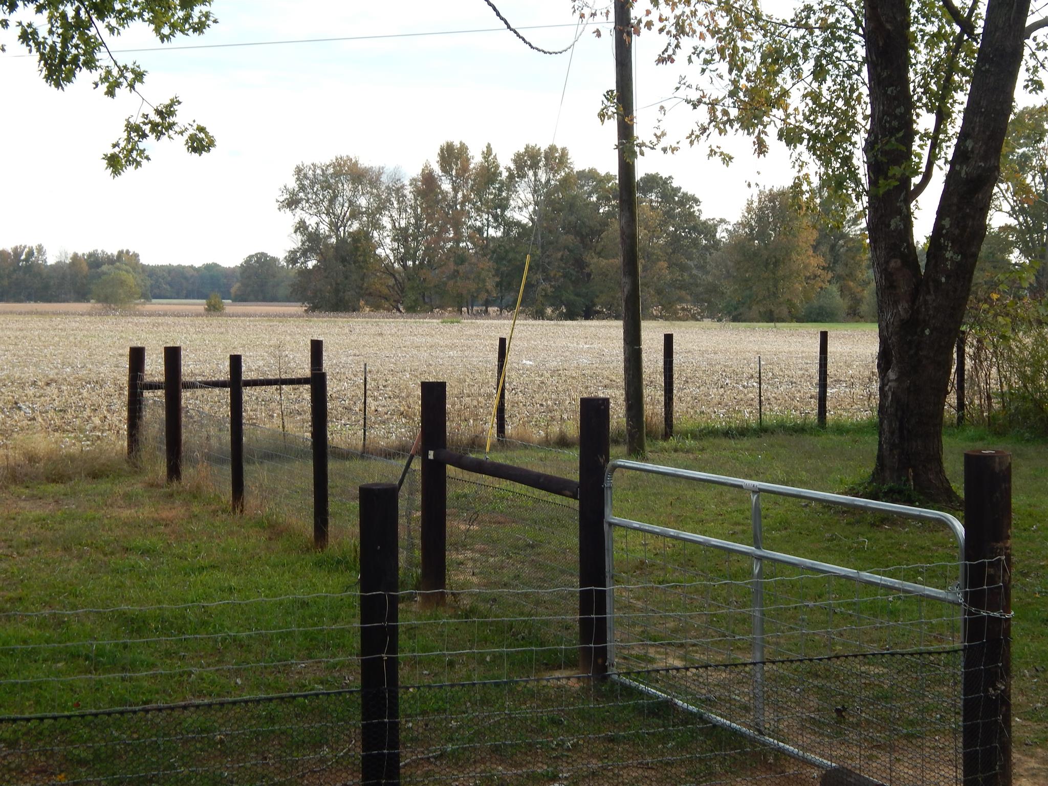 83 You Take It Road Ardmore, TN 38449 - Photo 26 of 30 a view of a lake