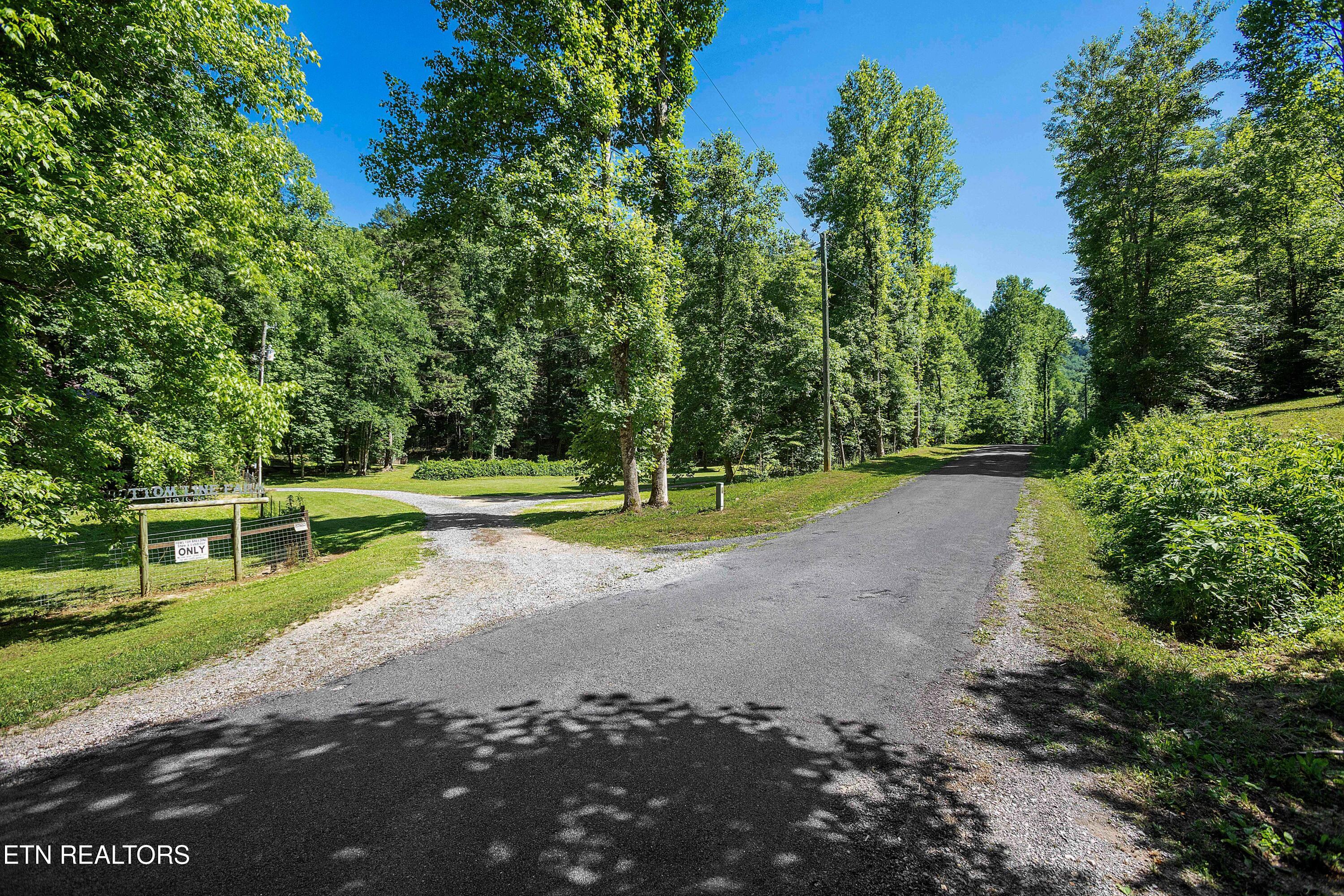 1151 Chestnut Valley Road Vonore, TN 37885 - Photo 54 of 57 IMG_6140