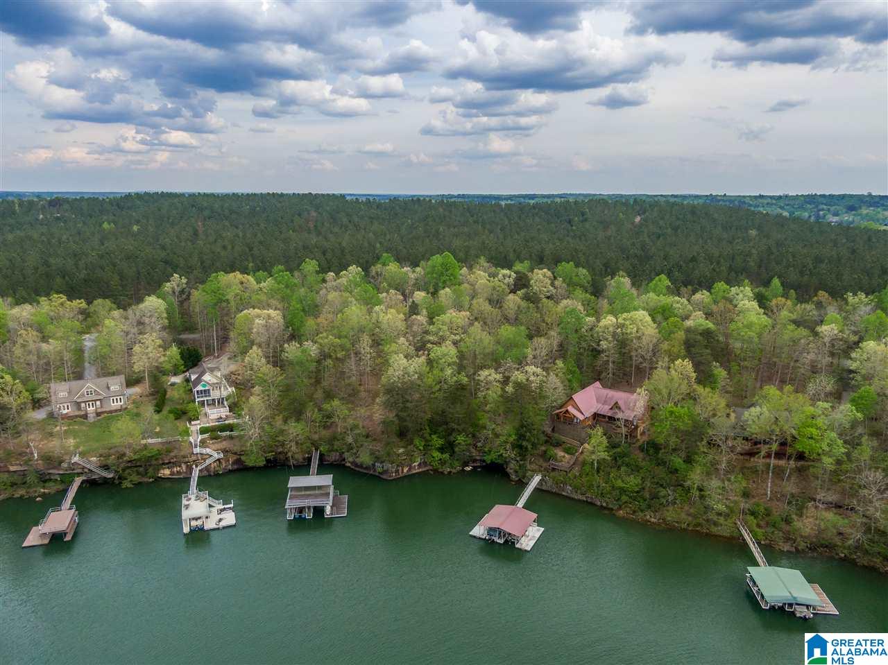 0 Sipsey Pines Road, Unit 132 Arley, AL 35541 - Photo 5 of 5