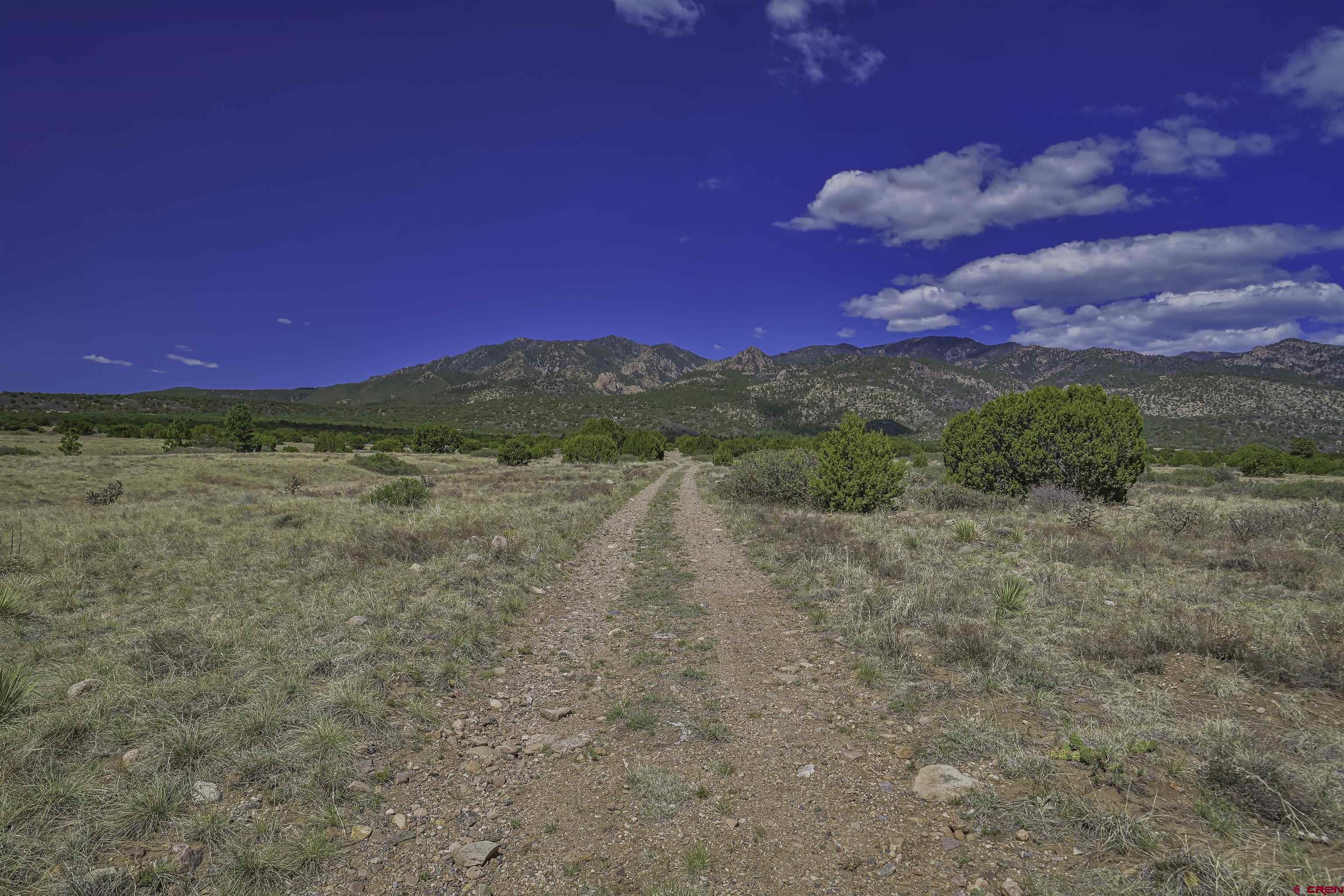 Tbd Tbd Cl&l Rye, CO 81069 - Photo 12 of 44 a view of a yard with a tree