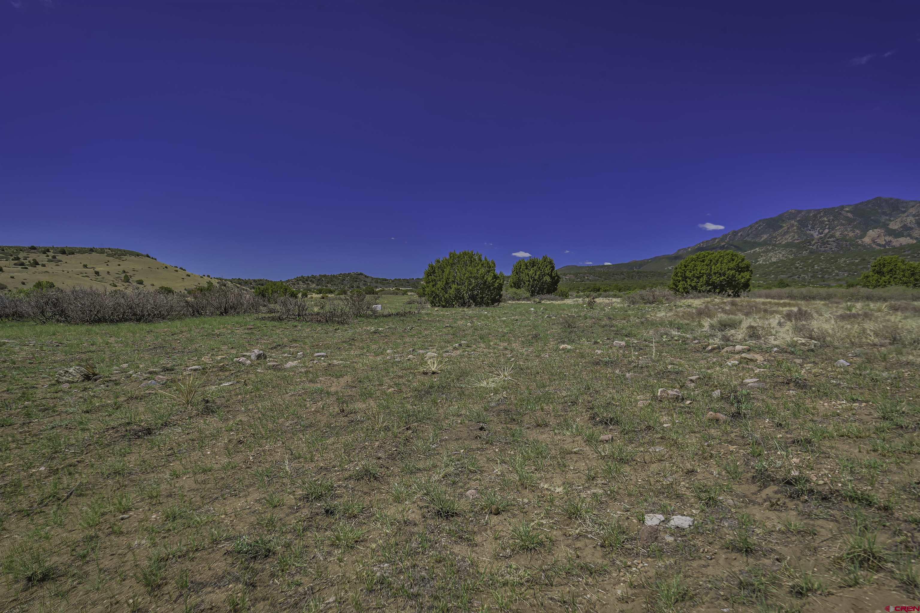 Tbd Tbd Cl&l Rye, CO 81069 - Photo 13 of 44 a view of a yard