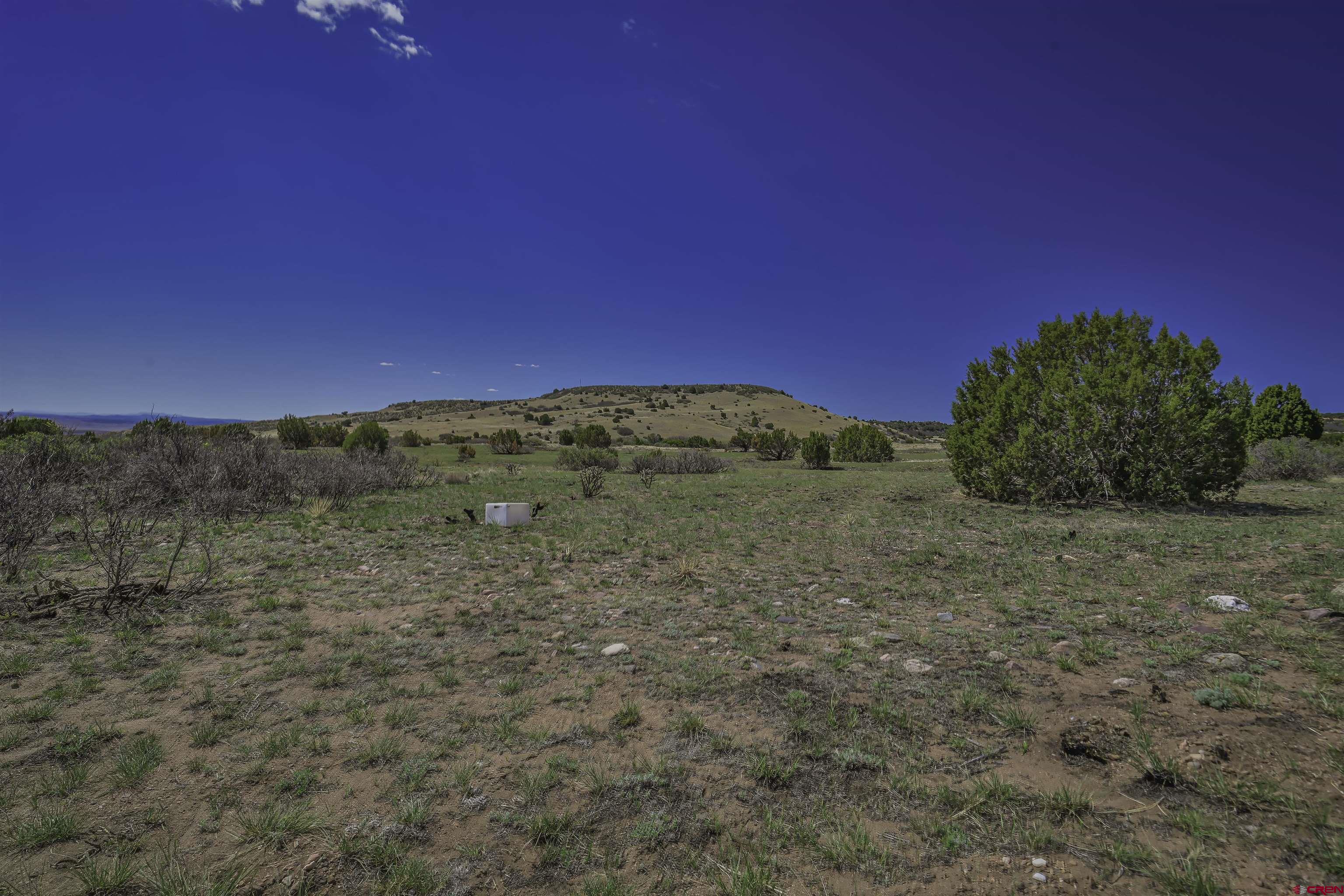 Tbd Tbd Cl&l Rye, CO 81069 - Photo 14 of 44 a view of a field with an trees in the background