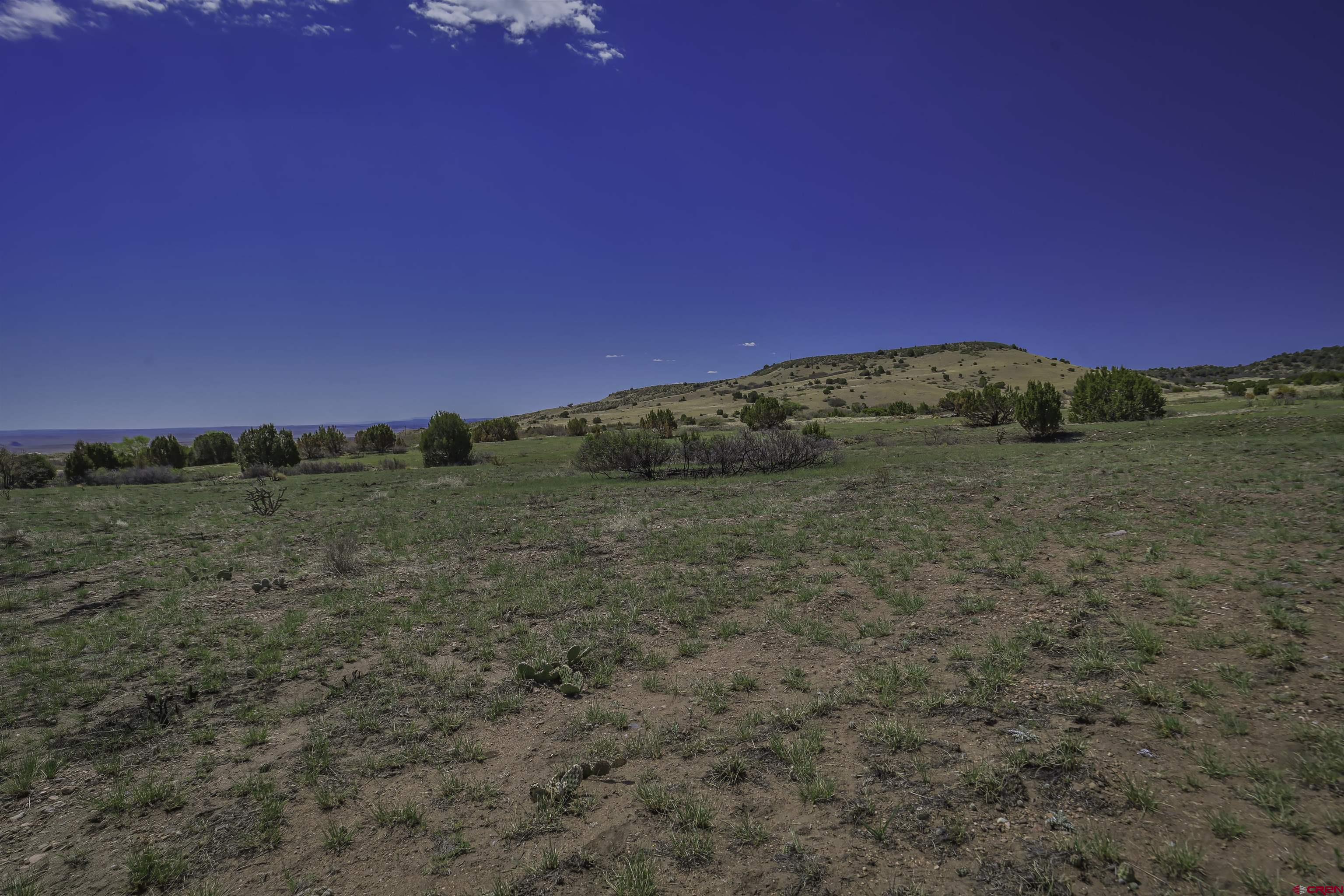 Tbd Tbd Cl&l Rye, CO 81069 - Photo 17 of 44 a view of mountain