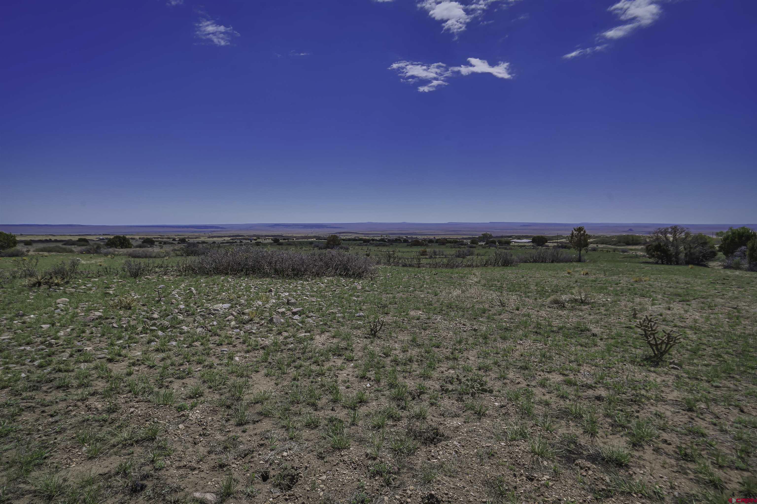 Tbd Tbd Cl&l Rye, CO 81069 - Photo 20 of 44 a view of a pathway with a yard