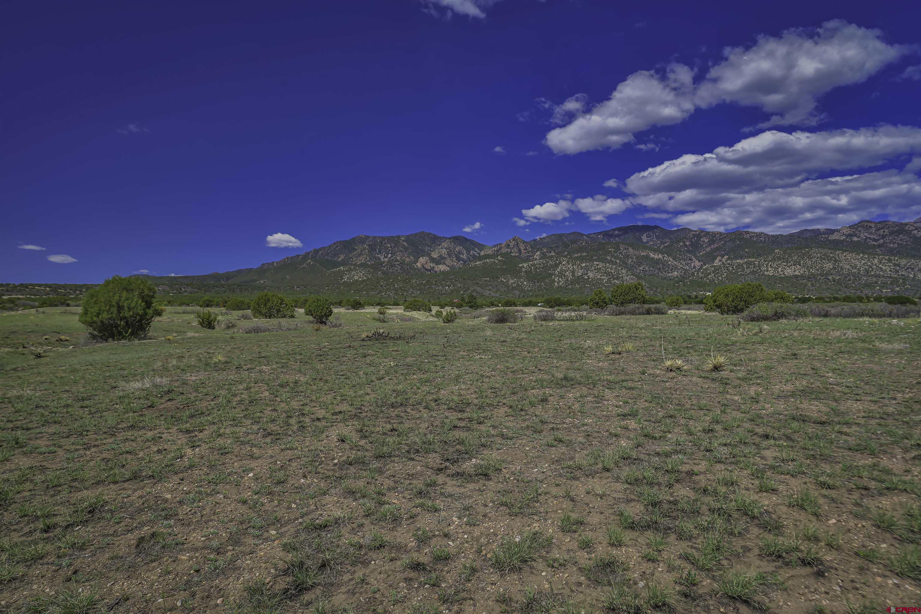 Tbd Tbd Cl&l Rye, CO 81069 - Photo 22 of 44 a view of a field with an trees