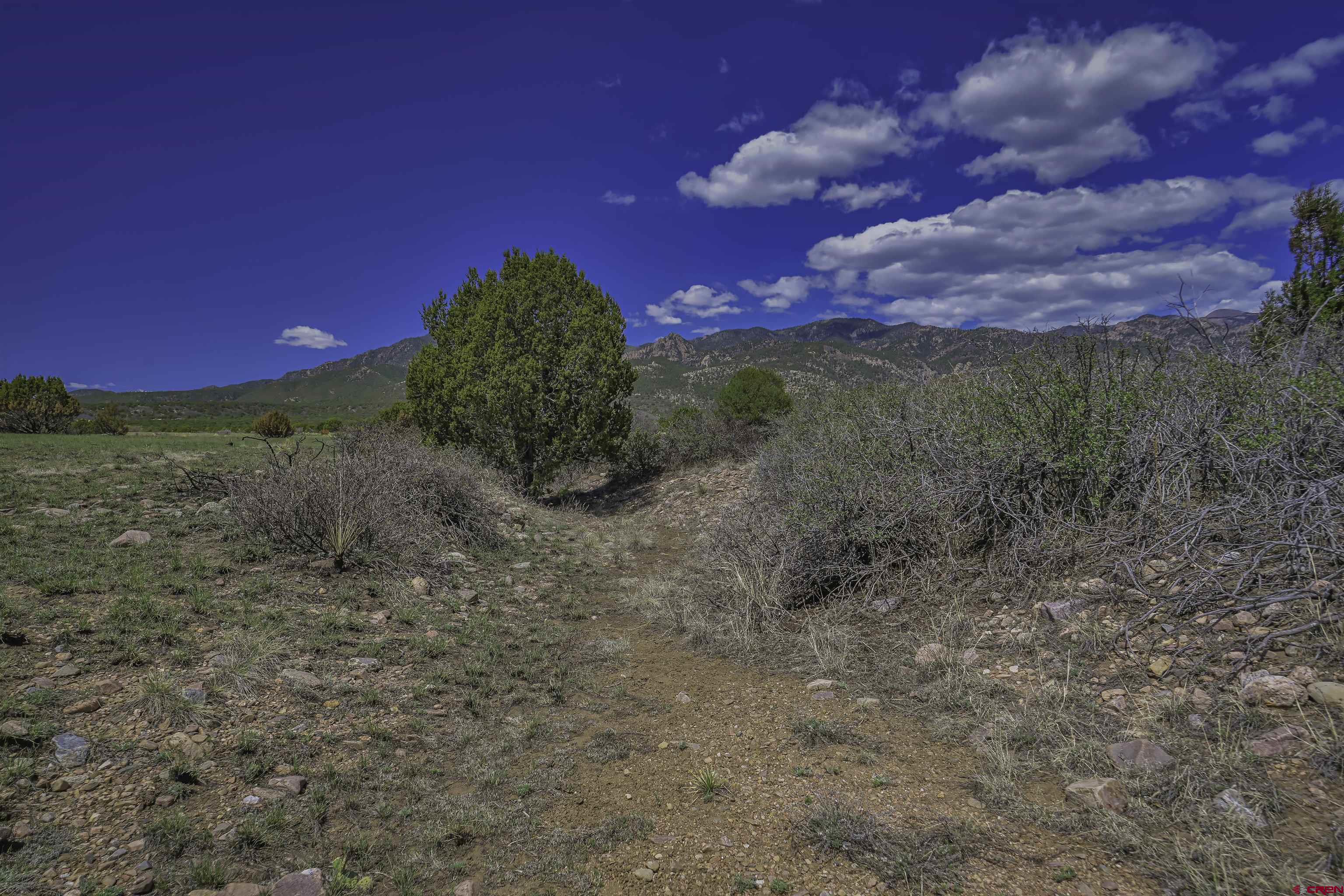 Tbd Tbd Cl&l Rye, CO 81069 - Photo 25 of 44 a view of a yard