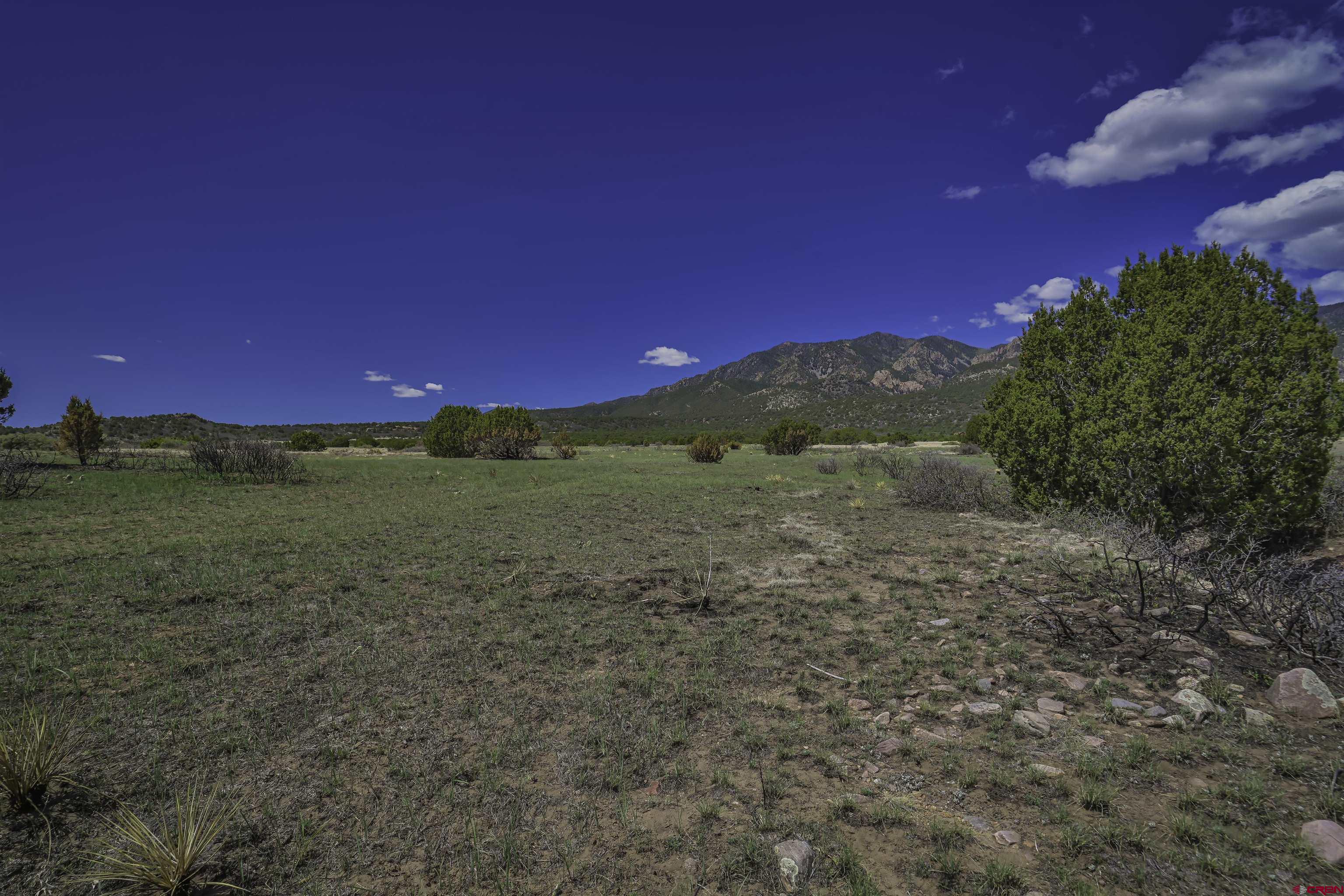 Tbd Tbd Cl&l Rye, CO 81069 - Photo 26 of 44 a view of a yard with a house in the background