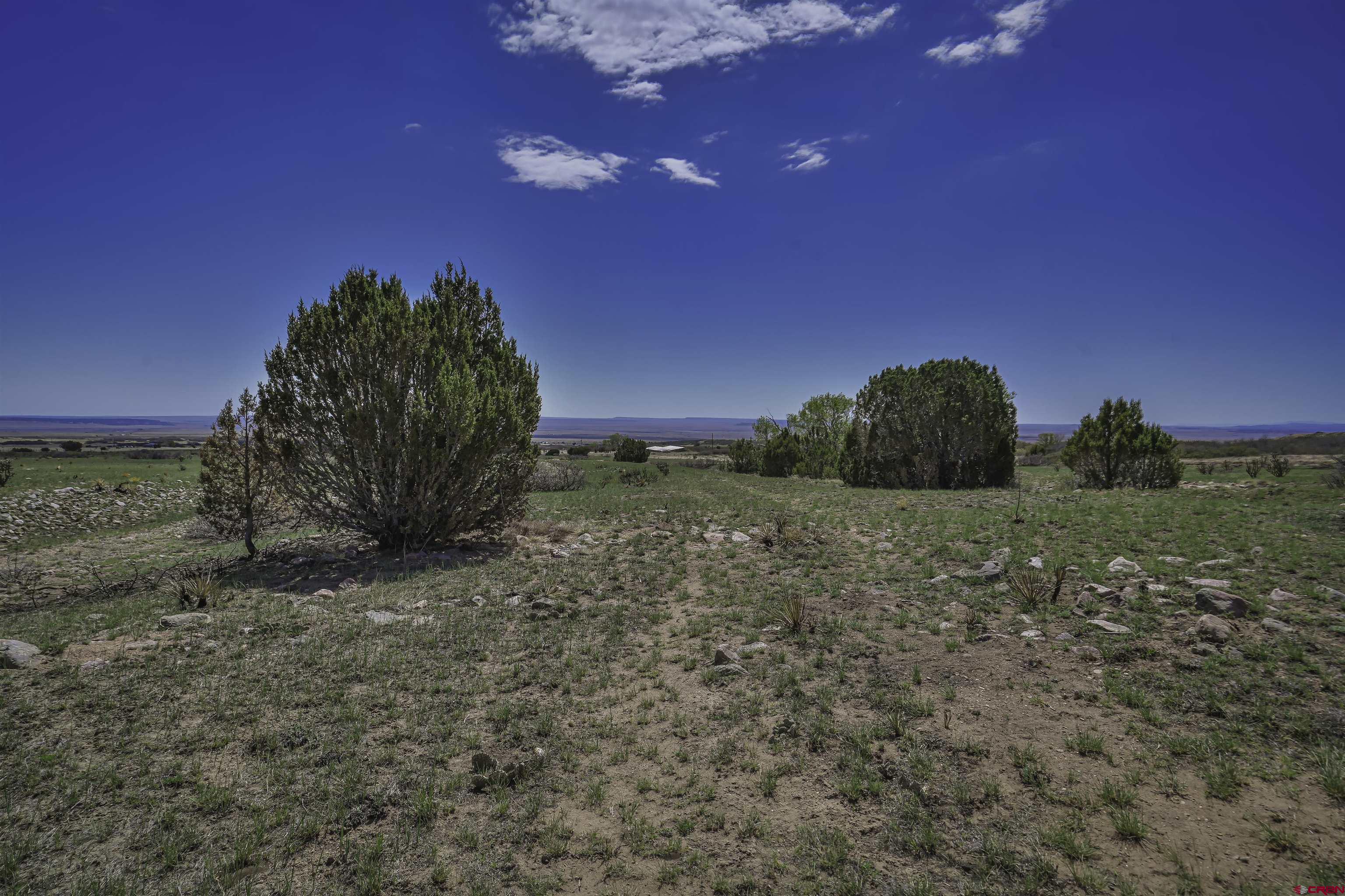 Tbd Tbd Cl&l Rye, CO 81069 - Photo 27 of 44 a view of a dry yard with wooden fence