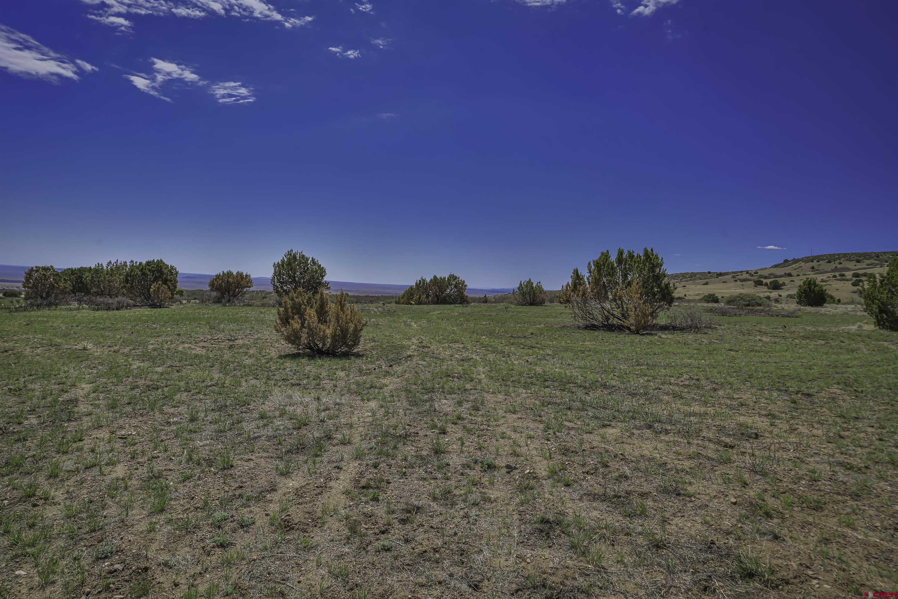 Tbd Tbd Cl&l Rye, CO 81069 - Photo 29 of 44 a view of a field with an house