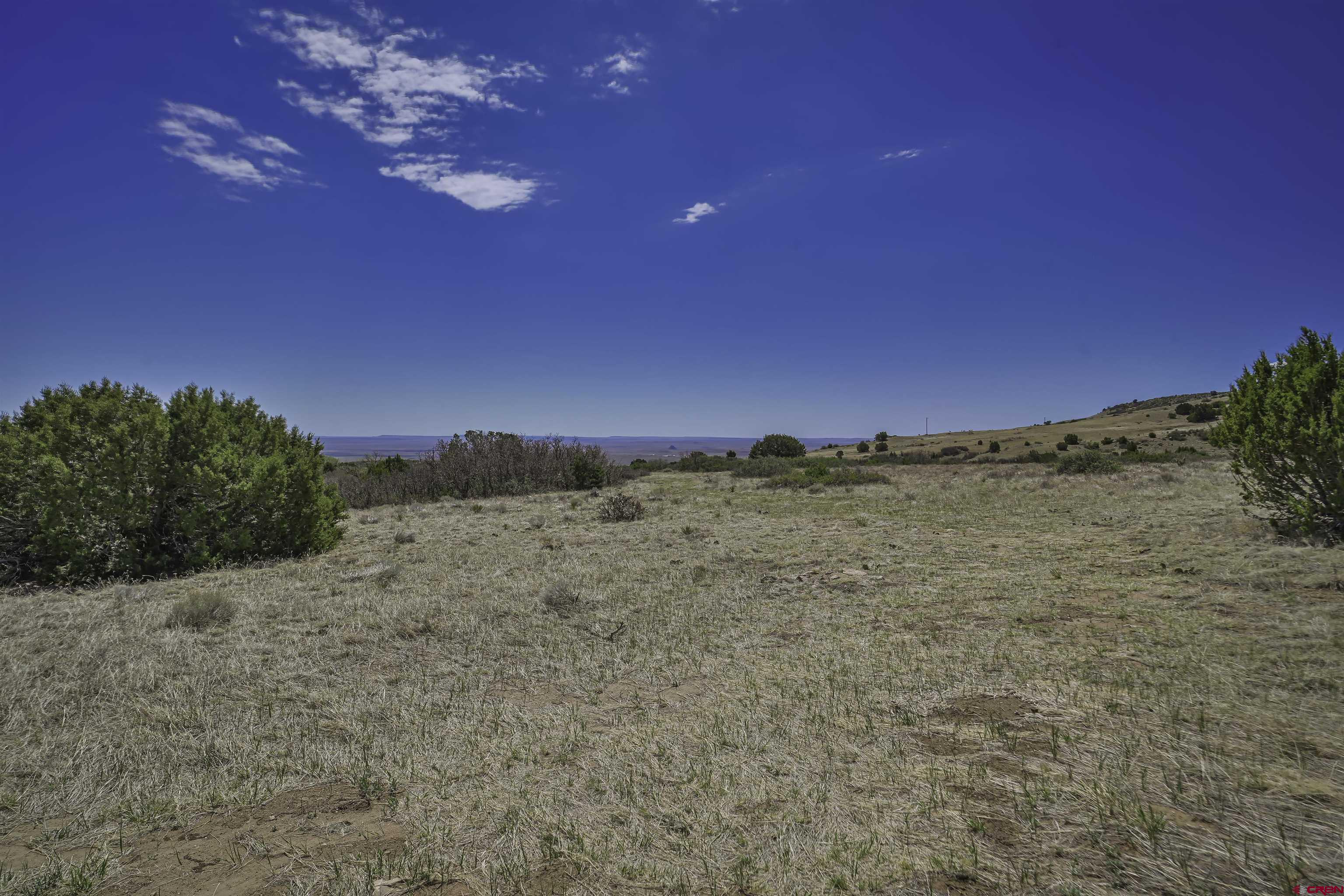 Tbd Tbd Cl&l Rye, CO 81069 - Photo 33 of 44 a view of a dry yard with trees in the background