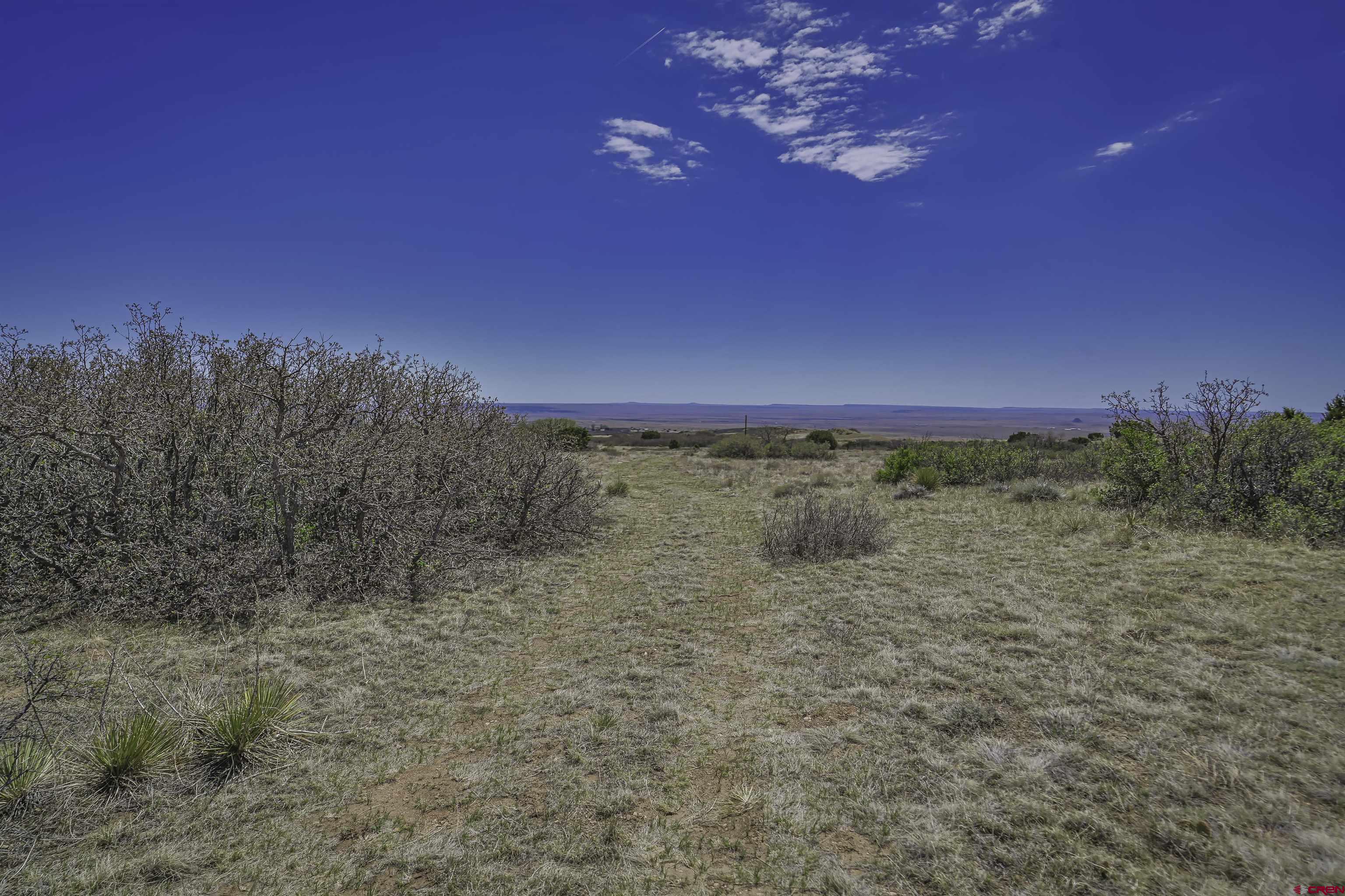Tbd Tbd Cl&l Rye, CO 81069 - Photo 34 of 44 a view of a pathway with a yard