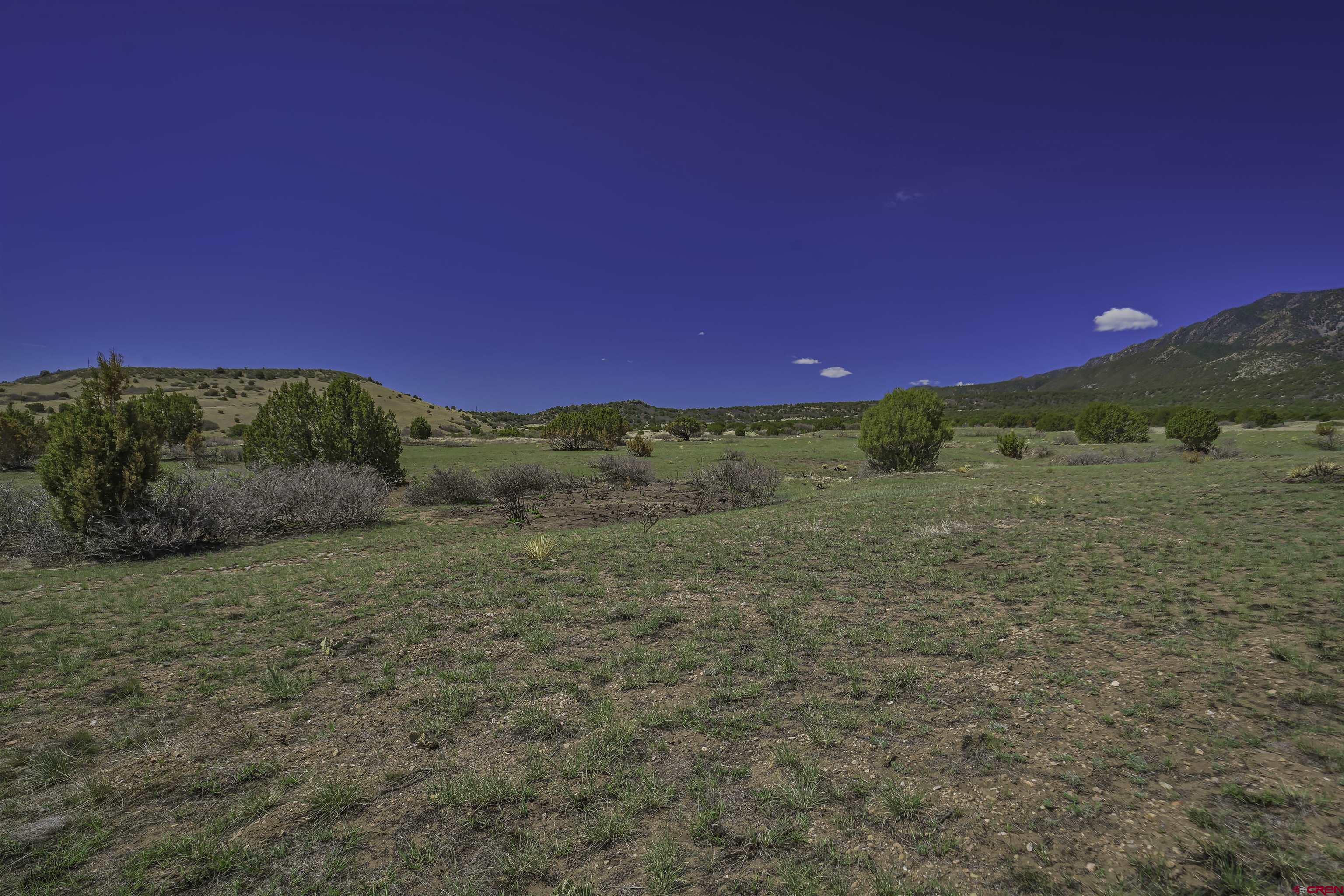 Tbd Tbd Cl&l Rye, CO 81069 - Photo 5 of 44 a view of a yard with an ocean