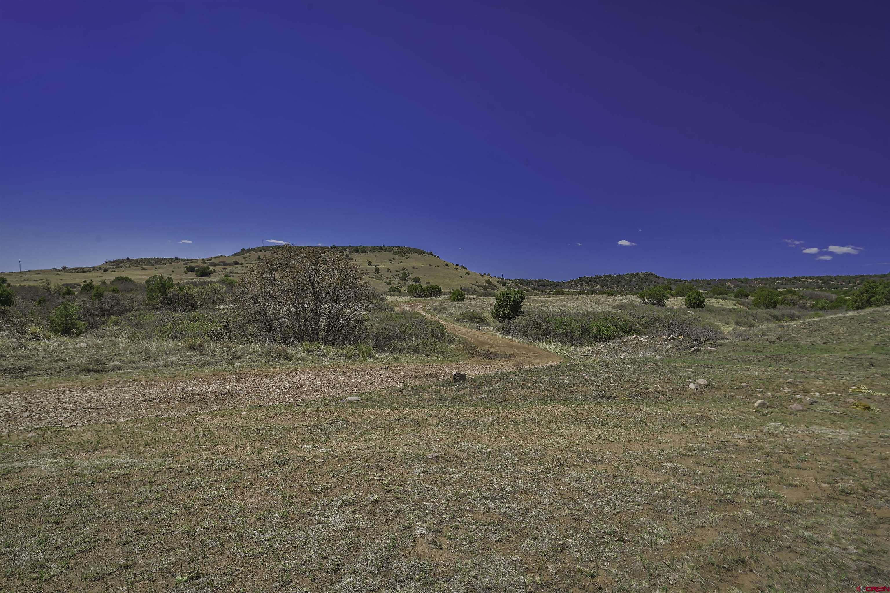 Tbd Tbd Cl&l Rye, CO 81069 - Photo 9 of 44 a view of a dry yard