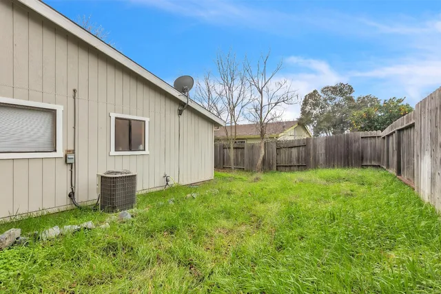 a view of a backyard with plants and large tree