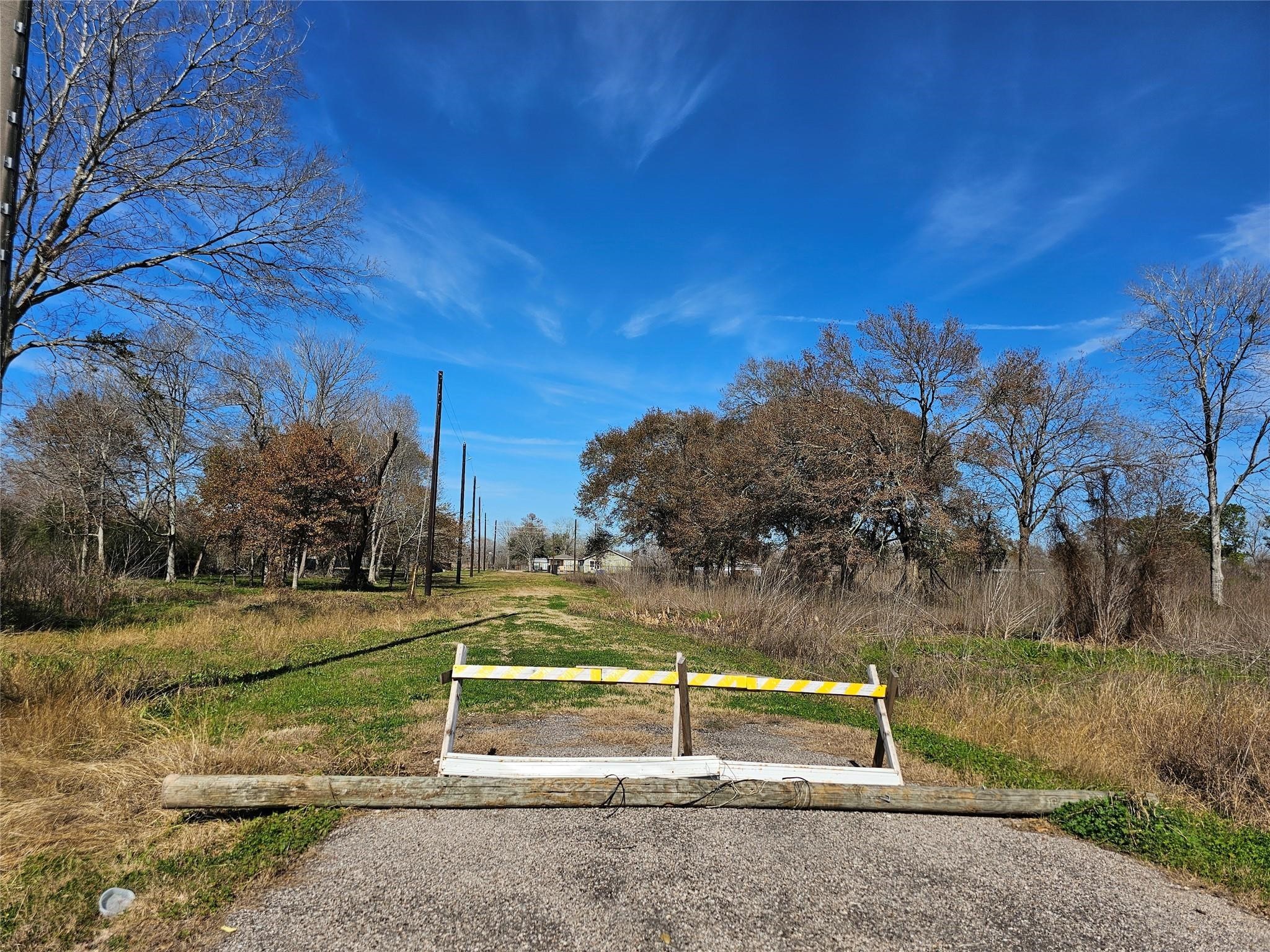 0 North Pine Road Rosharon, TX 77583 - Photo 2 of 8 a view of backyard with large trees
