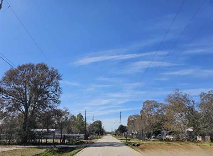 0 North Pine Road Rosharon, TX 77583 - Photo 7 of 8