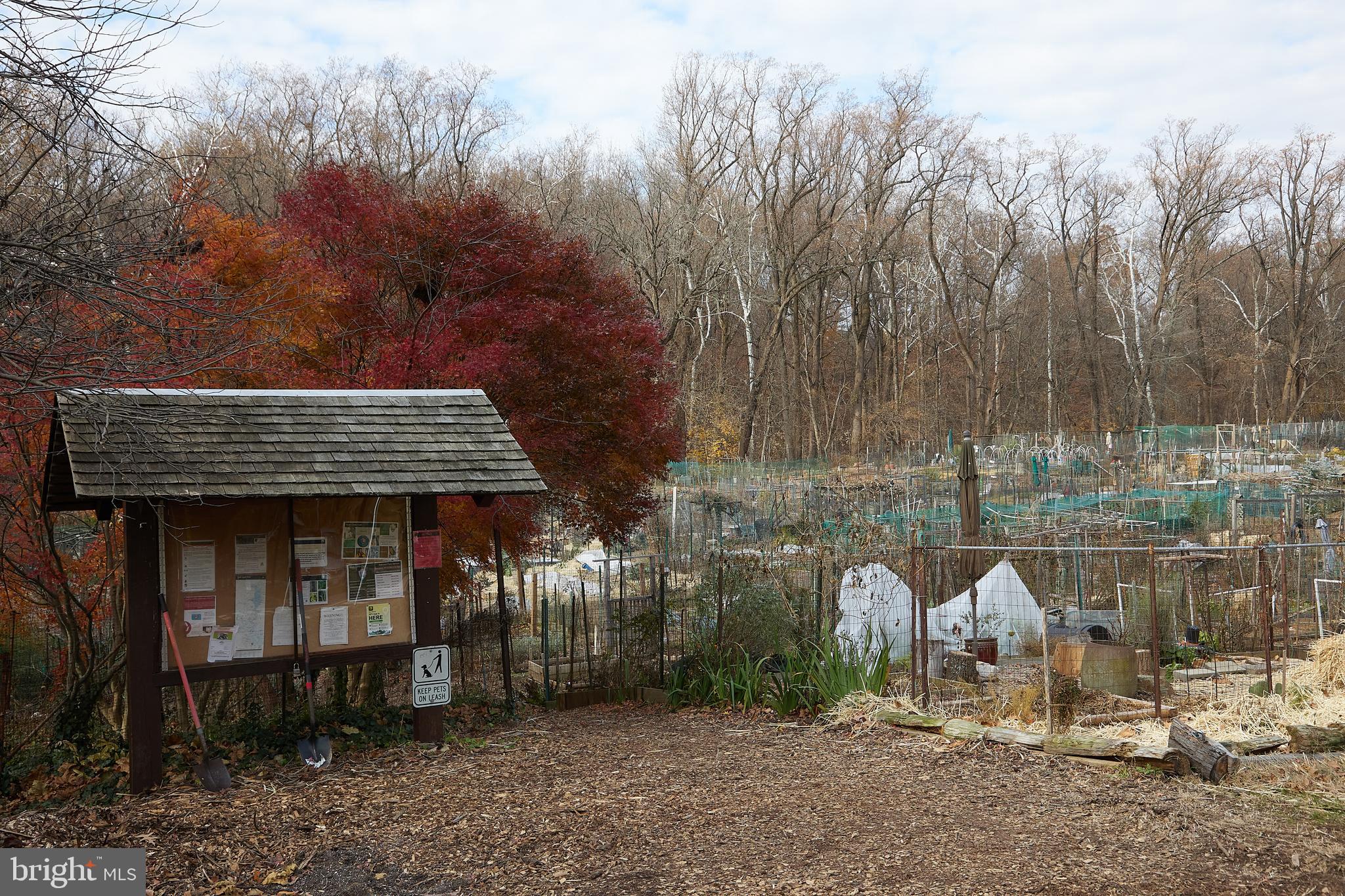 4000 Tunlaw Road Northwest, Unit 417 Washington, DC 20007 - Photo 20 of 21
