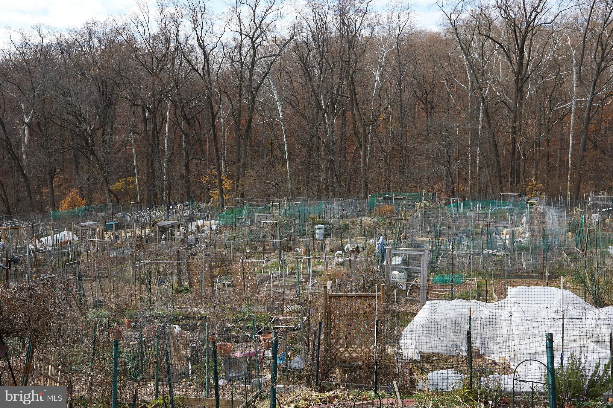 4000 Tunlaw Road Northwest, Unit 417 Washington, DC 20007 - Photo 21 of 21