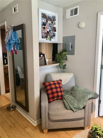 a living room with furniture flowerpot and a rug